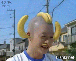 Гифки дня