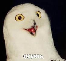 Кто придумал Это?!?!