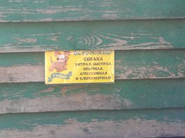 Прикольные надписи и объявления