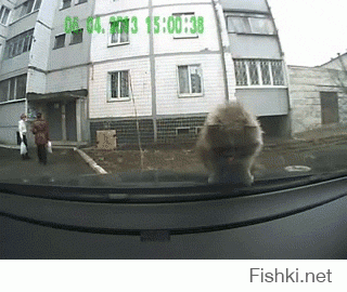 х.ета какая то