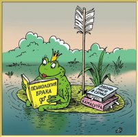 Молодец лягушка, основательно готовится к созданию семьи.