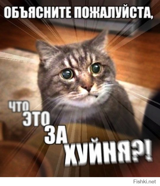 Фото странных людей из соц сетей