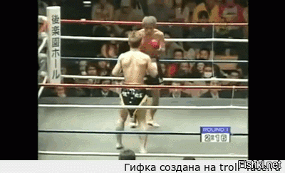 Гифки дня