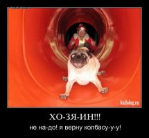 Фотоподборка