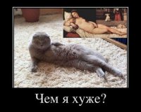 "мир-дружба-жвачка"