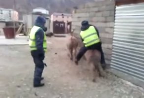 В РОССИИ