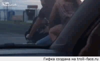 Гифки дня