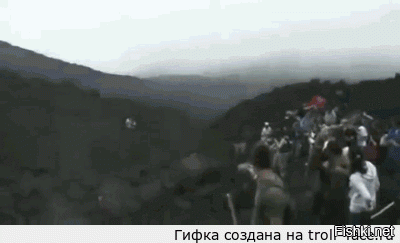 Гифки дня