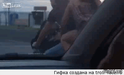 Гифки дня