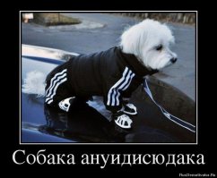 Тему можно развивать бесконечно
