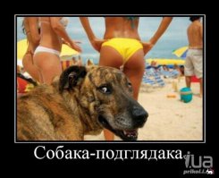 Много еще..