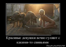Надписи и приколы