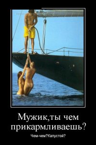 Надписи и приколы