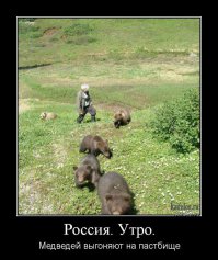 Всякости