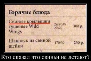 Потому и не летают, что крылышки отрезают и подают.