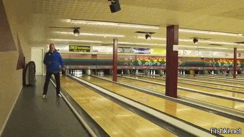 Гифки дня