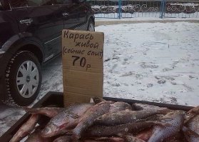 И вообще, он - плотва!