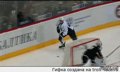 Гифки дня