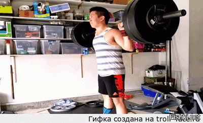 Гифки дня