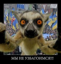 Беспорядки в Киеве Децентрализация Украина 31.08.15