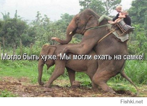 Веселые картинки с надписями