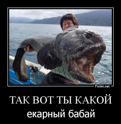 Результат рыбалки на севере Японии