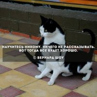 7 мудрейших открыток