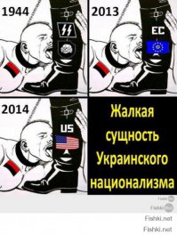 Тем временем социальные программы и акции в Украине!