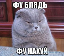 Чудики из социальных сетей