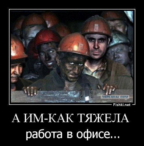 Жизнь в офисе