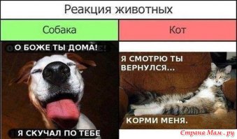 все человеки рабы,вот сученок, а чуть что, сразу к человеку!