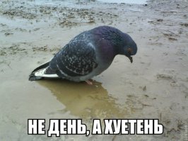 Как УАЗик трактором вытягивали