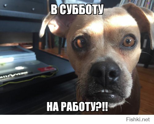 Пятница!