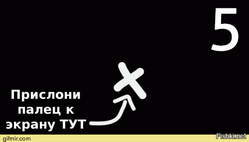 Гифки дня
