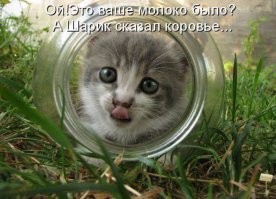 Не мешайте банковскому работнику!!!