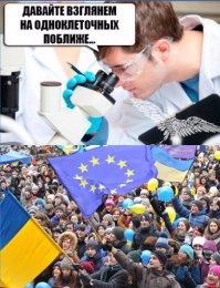 Склероз - он такой