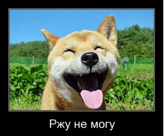 Газ в Украину.