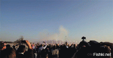 Подборка Gif