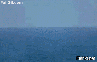 Подборка Gif