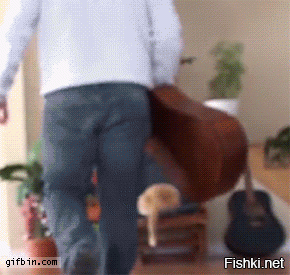 Подборка Gif