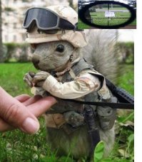 фотограф, мы тоже можем тебя снять