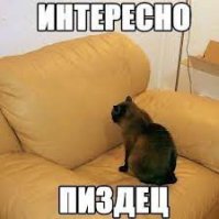 Познавательные факты