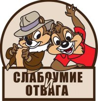 Парни решили провести испытания подушек безопасности
