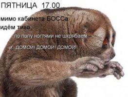 Пятницо!