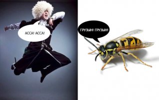 20 фотографий, сделанных за секунду до неизбежного!