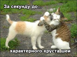 Почему сразу доброта? Ведь можно и иначе посмотреть на эти кадры!