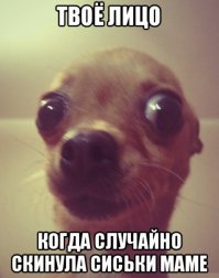 Порция юмора