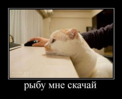 Ты не ты, когда голоден