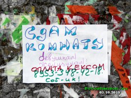 Подборка объявлений для поднятия настроения