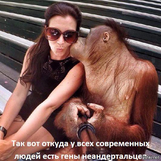 Подборка фотографий для поднятия настроения!